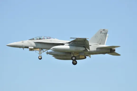 カジノ クリプト ワイルド サポート